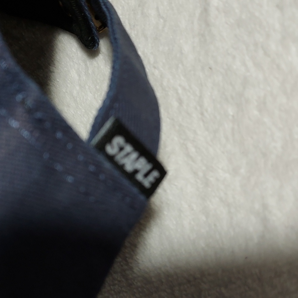 Staple Adjustable Hat - Picture 7 of 13